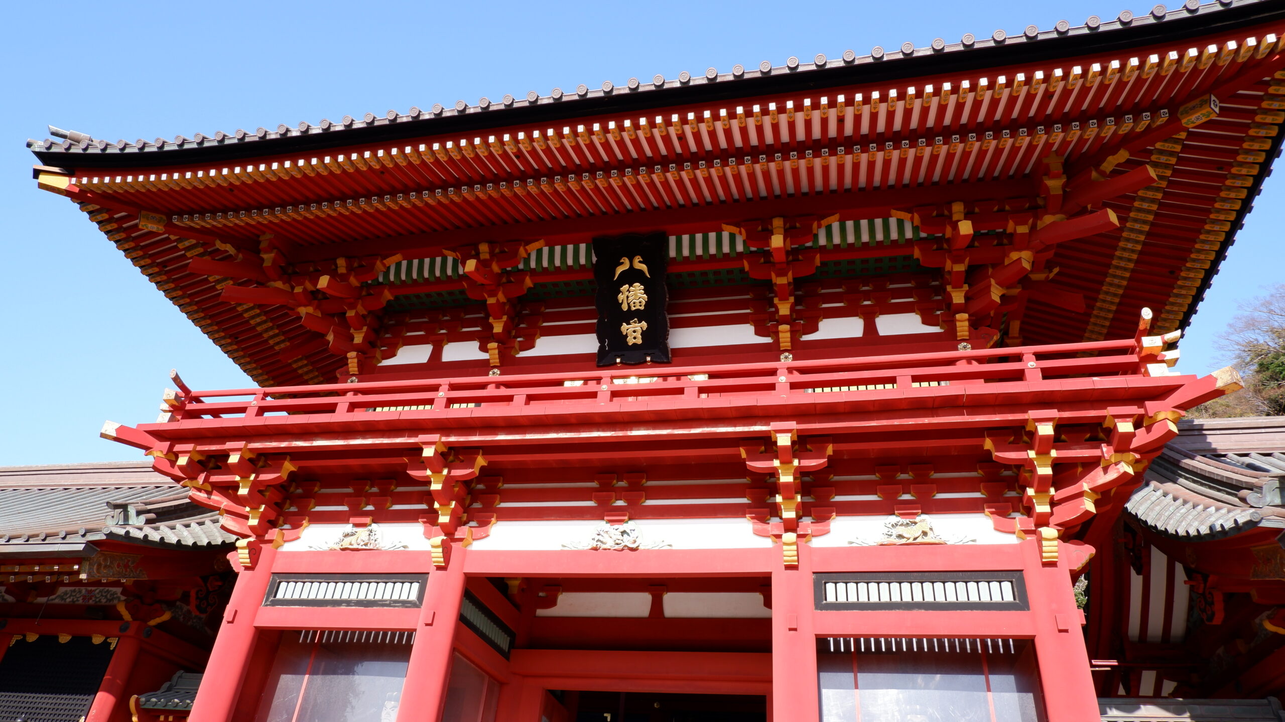 鎌倉、鶴岡八幡宮