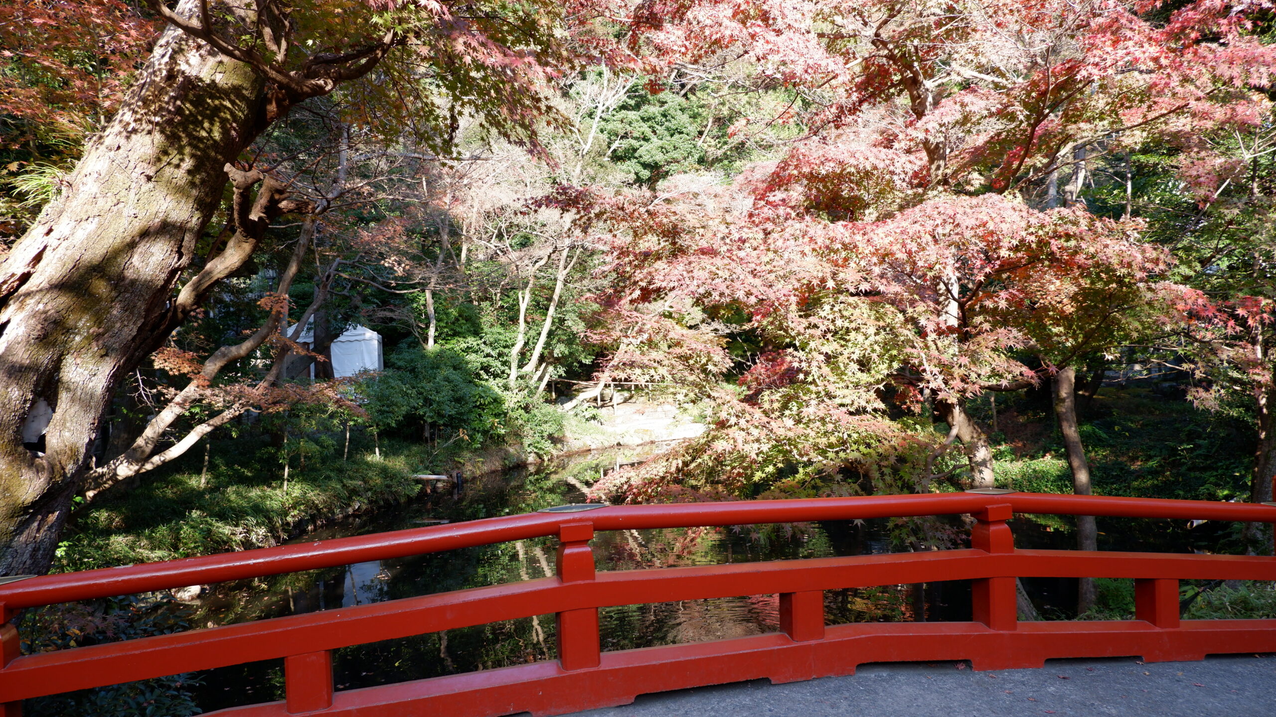 鎌倉の紅葉、秋